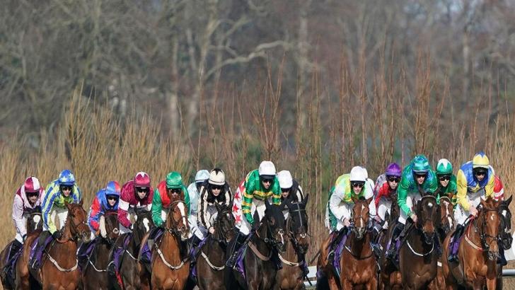 Horse racing at Leopardstown 